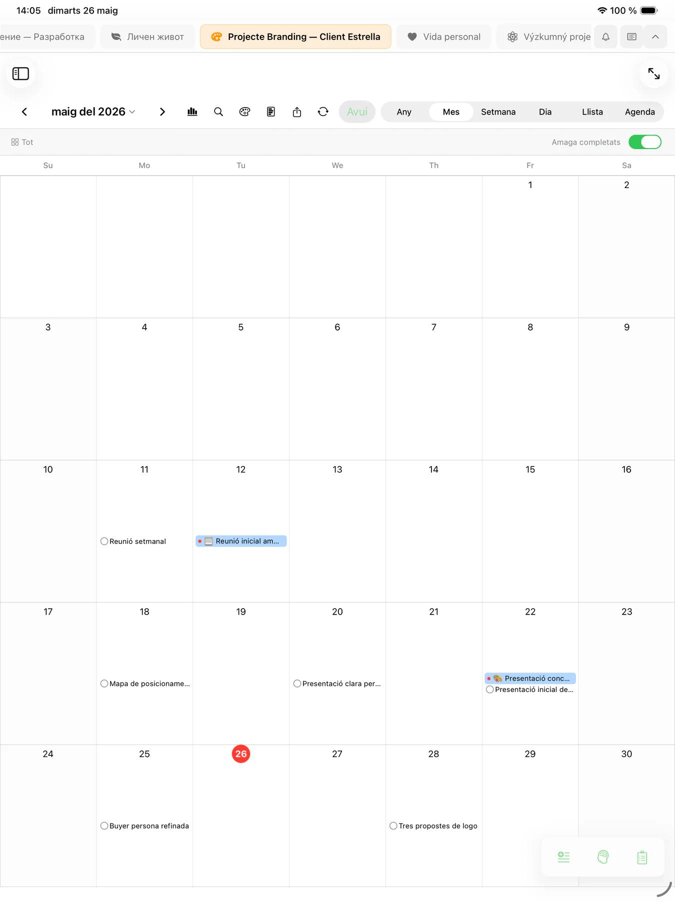 Agenda diària del calendari Mintofu amb blocs horaris i tasques programades