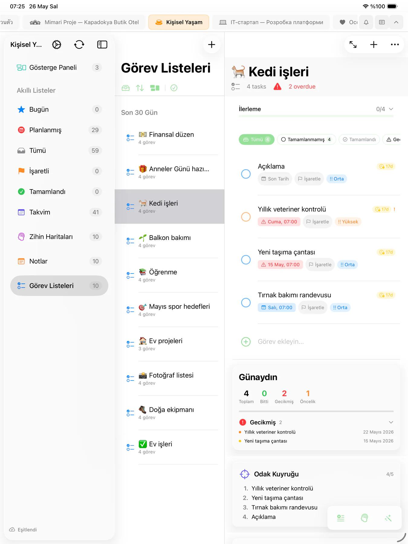 Özel filtre kuralları ve aktivite akışı ile Mintofu Smart Lists